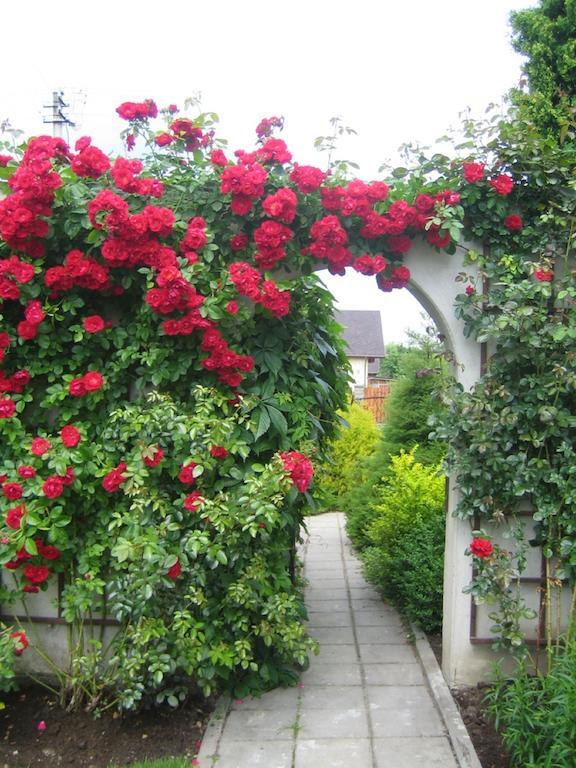 Bellavilla Vilnius Exteriör bild
